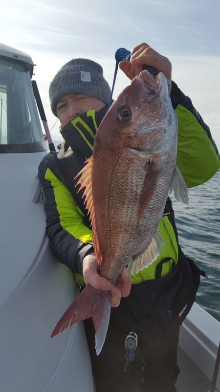 海峰 釣果