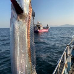 龍神丸（鹿児島） 釣果