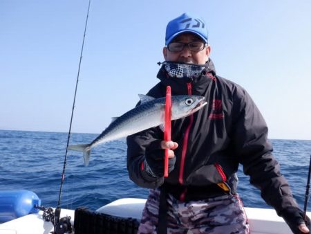 開進丸 釣果