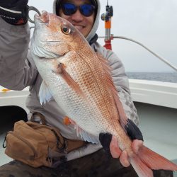 海峰 釣果