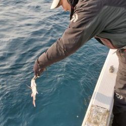 遊漁船　ニライカナイ 釣果