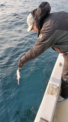 遊漁船　ニライカナイ 釣果