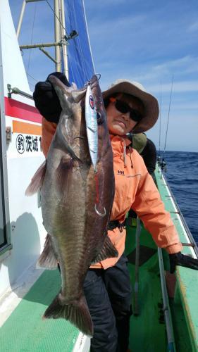 仁徳丸 釣果