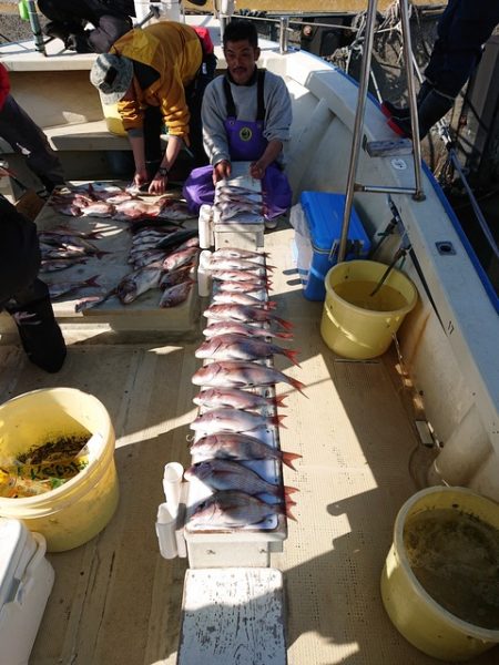 たかみ丸 釣果