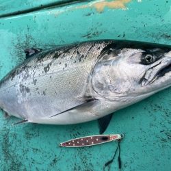 広進丸 釣果