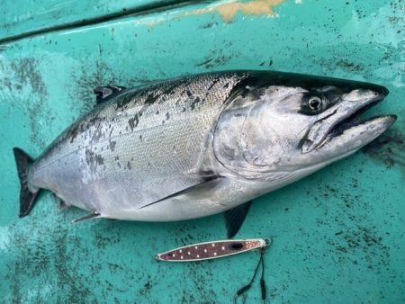 広進丸 釣果