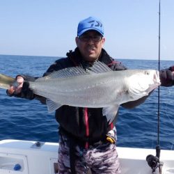 開進丸 釣果