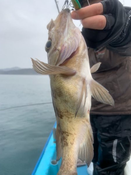 宝昌丸 釣果