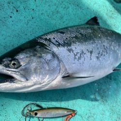 広進丸 釣果