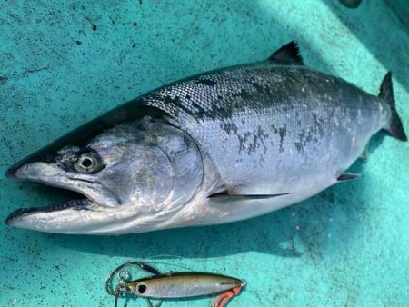 広進丸 釣果