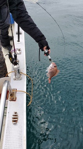 遊漁船　ニライカナイ 釣果