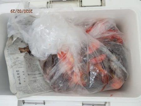 第二むつ漁丸 釣果