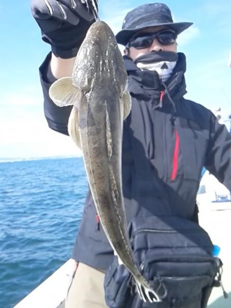 さわ浦丸 釣果