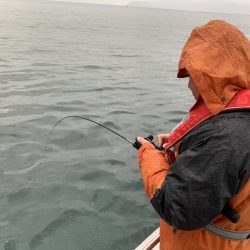 白墨丸 釣果