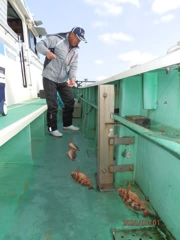 第二むつ漁丸 釣果