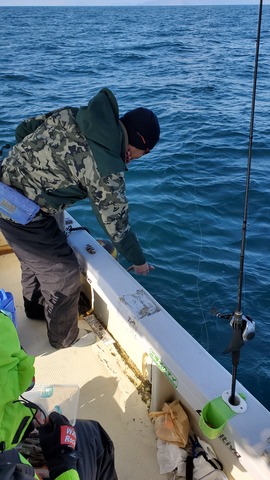 遊漁船　ニライカナイ 釣果