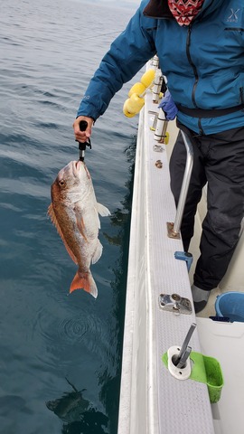 遊漁船　ニライカナイ 釣果