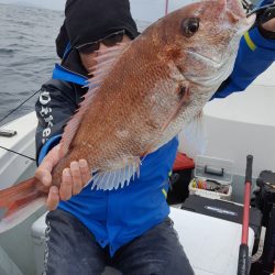 海峰 釣果