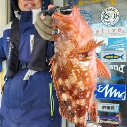 遊漁船　ニライカナイ 釣果