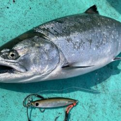 広進丸 釣果