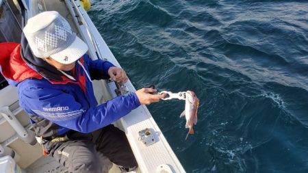 遊漁船　ニライカナイ 釣果