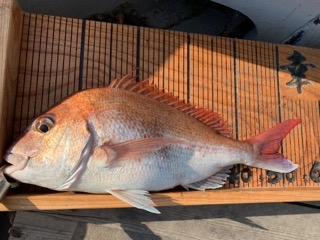 幸吉丸 釣果