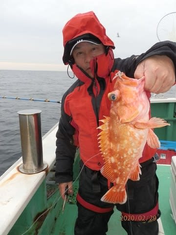 第二むつ漁丸 釣果