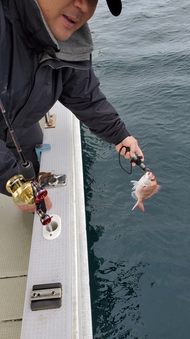 遊漁船　ニライカナイ 釣果