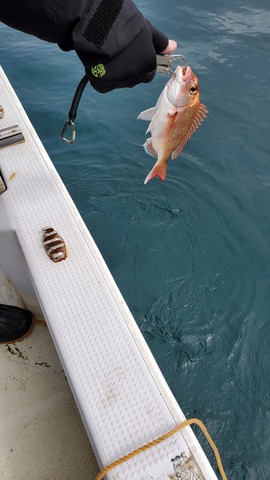 遊漁船　ニライカナイ 釣果