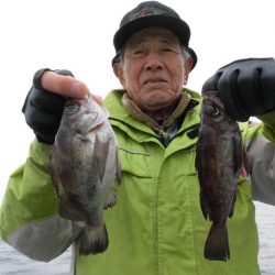 まとばや 釣果