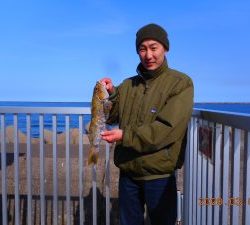 鹿島港魚釣園 釣果