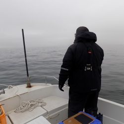 フィッシングボート空風（そらかぜ） 釣果