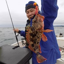 フィッシングボート空風（そらかぜ） 釣果