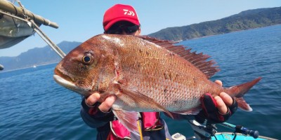 フィッシング太陽 釣果