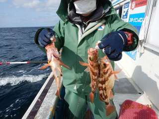 作十丸 釣果