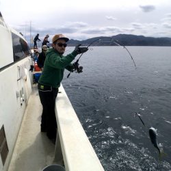 オーシャンズ　京都 釣果