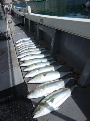 関勝丸 釣果