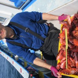 まとばや 釣果