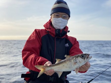 三吉丸 釣果