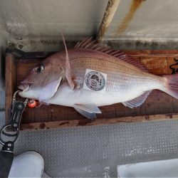 白墨丸 釣果