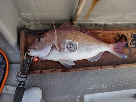 白墨丸 釣果