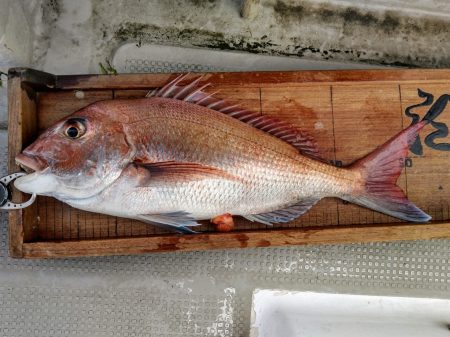 白墨丸 釣果