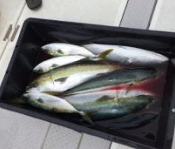 えすぽあ 釣果