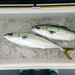 火遠理丸（ほおりまる） 釣果