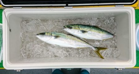 火遠理丸（ほおりまる） 釣果