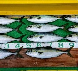 火遠理丸（ほおりまる） 釣果