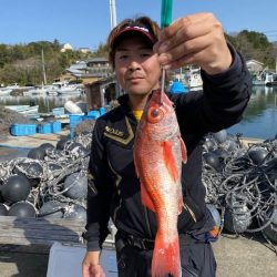 へいみつ丸 釣果