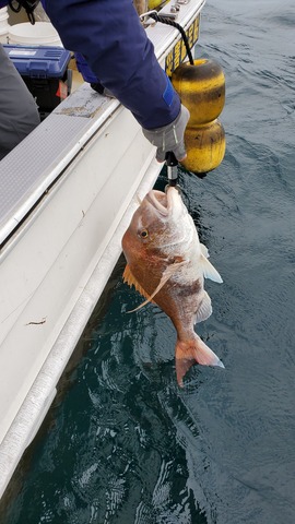 遊漁船　ニライカナイ 釣果