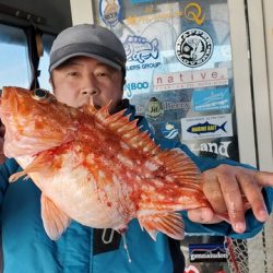 遊漁船　ニライカナイ 釣果