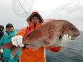 里輝丸 釣果